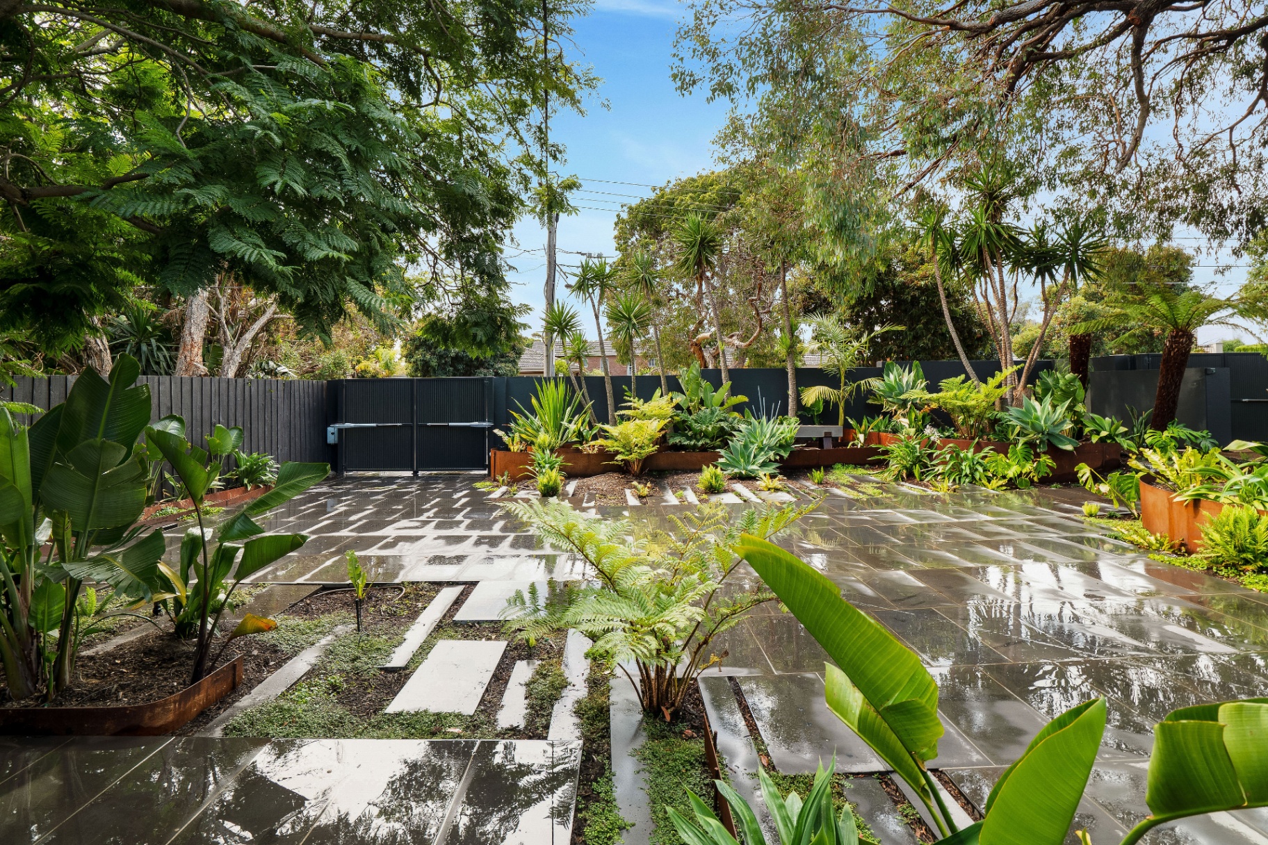 Canopy — Black Rock, Victoria